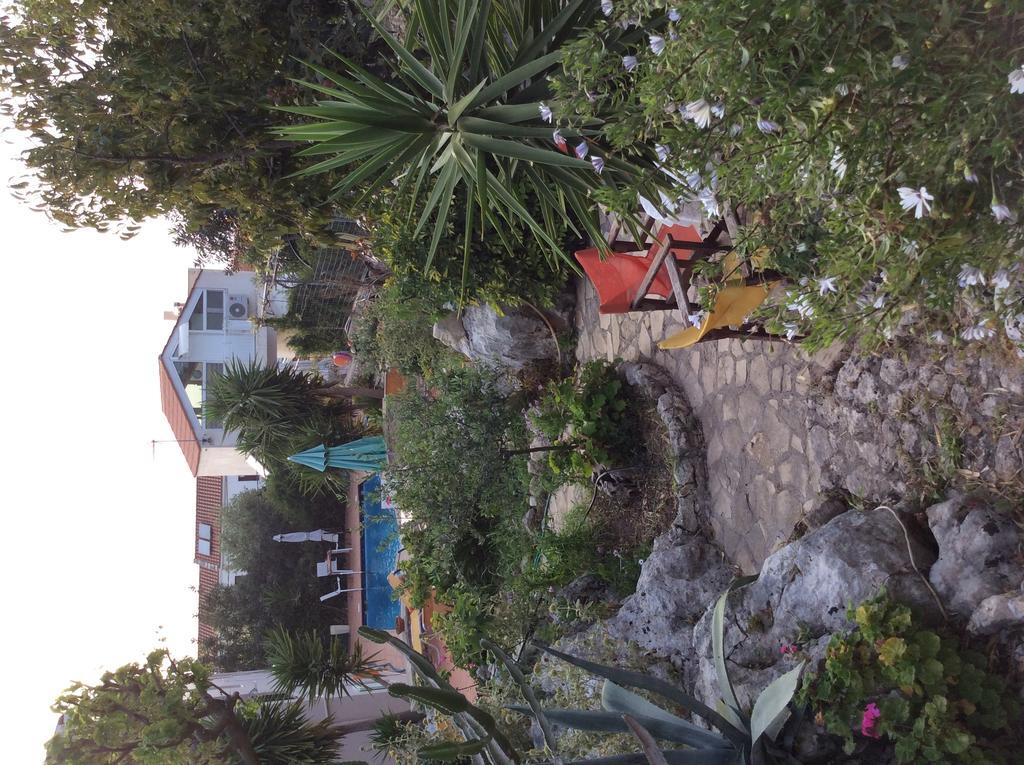 Bicorna - Chania Pláka Extérieur photo